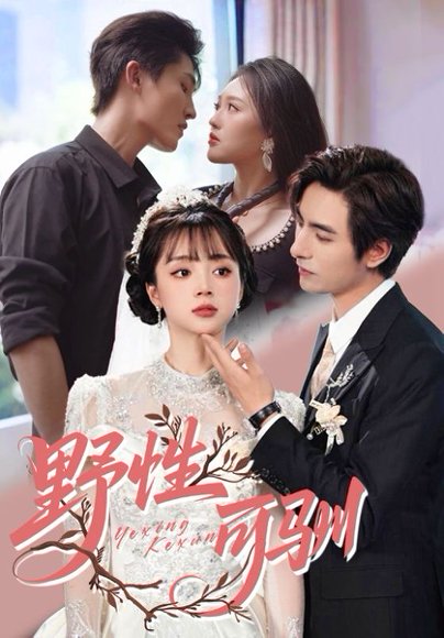 野性可驯（63集）李豪&蔡淼燕 高清完整版
