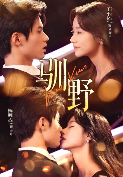 驯野（77集）杨鹏丞&王小亿&张旋 高清完整版