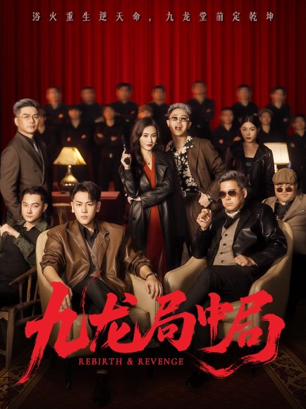 九龙局中局（71集）刘龙泽&南书 高清完整版