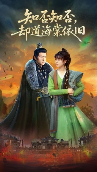 知否知否却道海棠依旧（100集）邵之鹏&杨帆 高清完整版