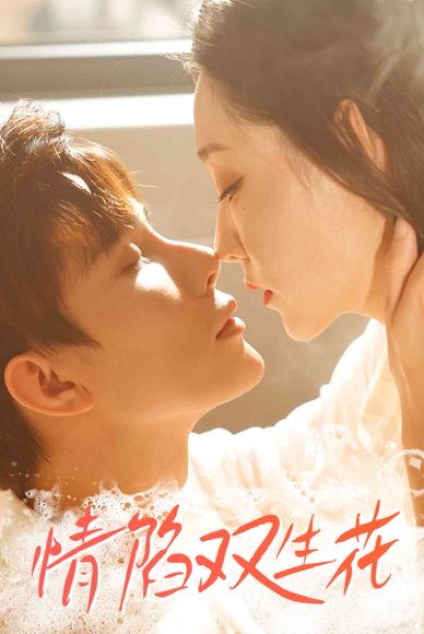 情陷双生花（30集）吴思橦&曹博尊 高清完整版