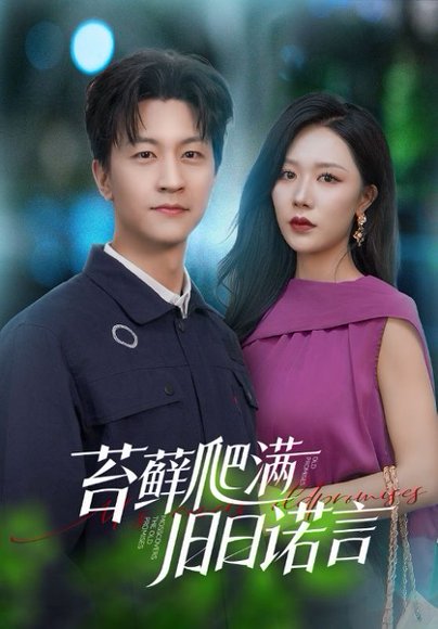 苔藓爬满旧日诺言（83集）王鹏＆钟莹玲 高清完整版