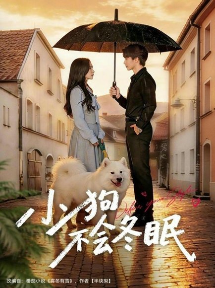 小狗不会冬眠（70集）张皓文＆乔槿 高清完整版